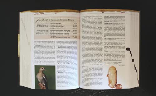 Nelson's Illustrated Bible Dictionary: New and Enhanced Edition