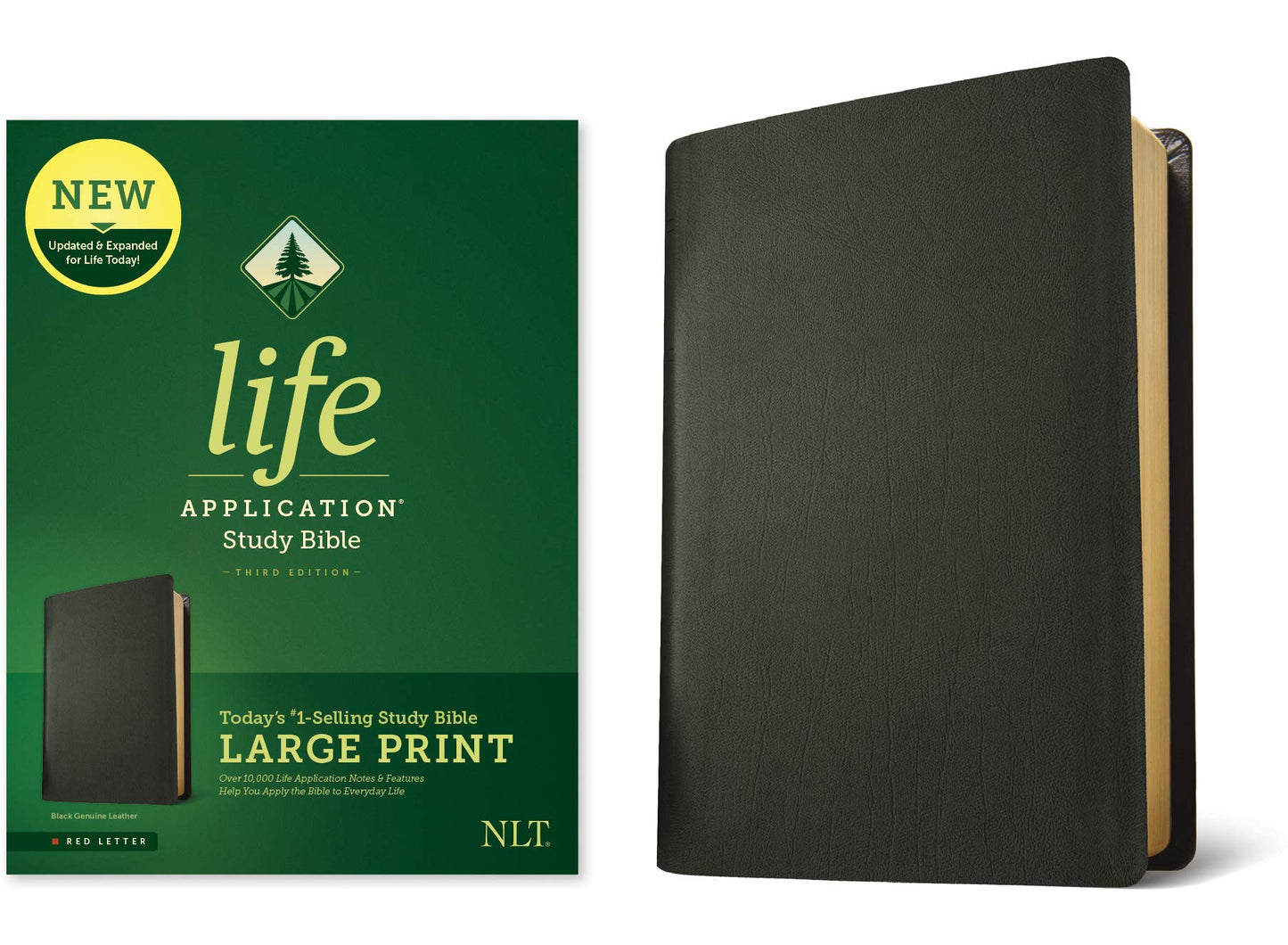 Tyndale NLT Life Application Study Bible, Third Edition, Large Print (Genuine Leather, Black, Red Letter) – New Living Translation Bible, Large Print Study Bible for Enhanced Readability