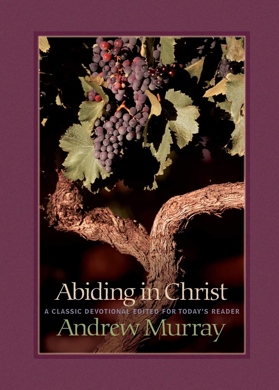 Abiding in Christ by Andrew Murray