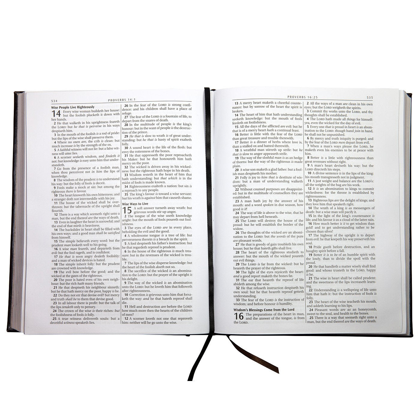 KJV Holy Bible, Classically Illustrated Heirloom Family Bible