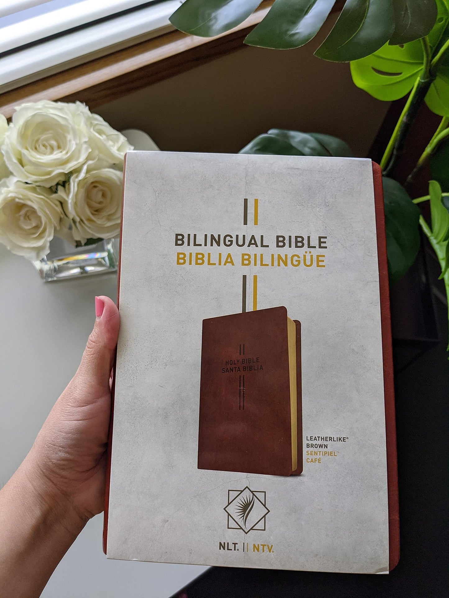 Bilingual Bible / Biblia bilingüe NLT/NTV