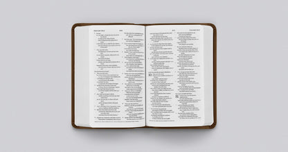 ESV Value Compact Bible (TruTone, Brown)