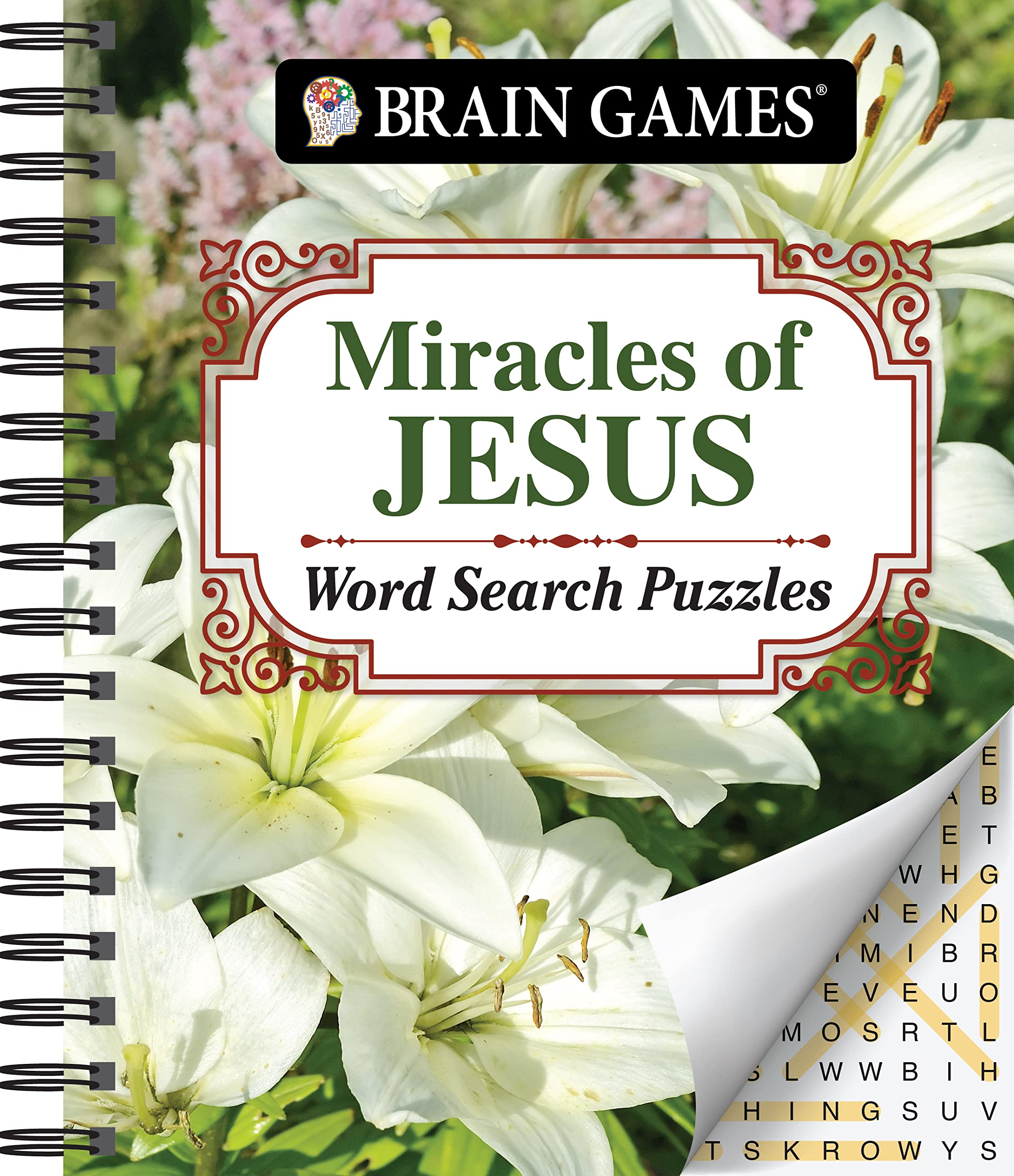 Brain Games - Miracles of Jesus Word Search Puzzles (Brain Games - Bib ...