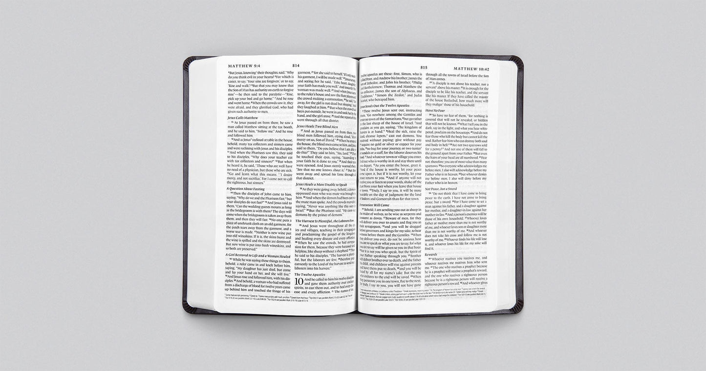 ESV Premium Gift Bible (TruTone, Midnight, Flame Design)