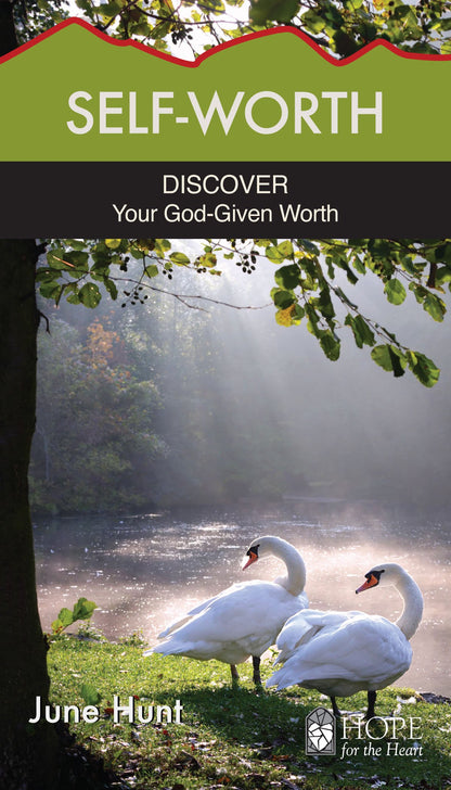Self-Worth: Discover Your God-Given Worth (Hope for the Heart)