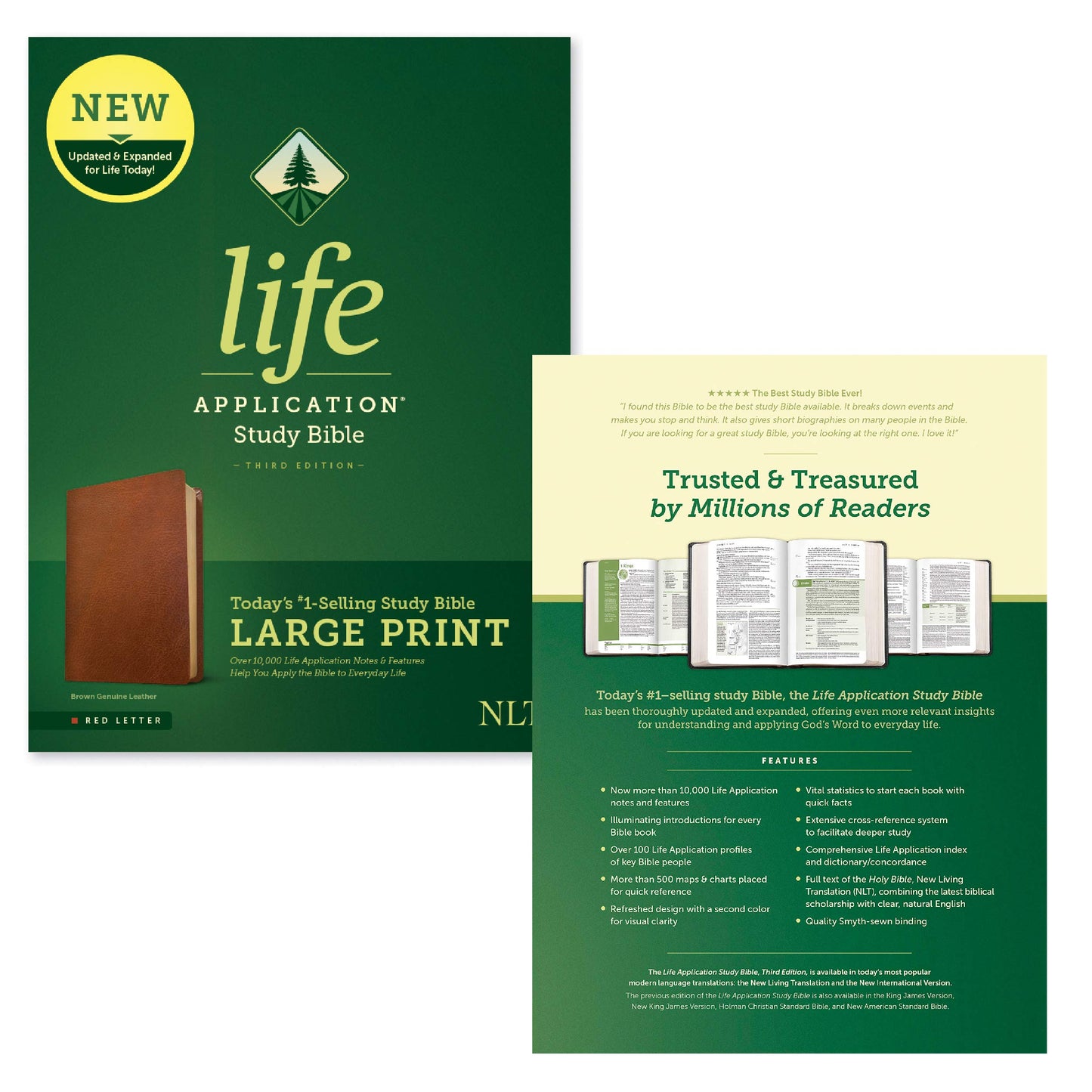 Tyndale NLT Life Application Study Bible, Third Edition, Large Print (Genuine Leather, Brown, Red Letter) – New Living Translation Bible, Large Print Study Bible for Enhanced Readability