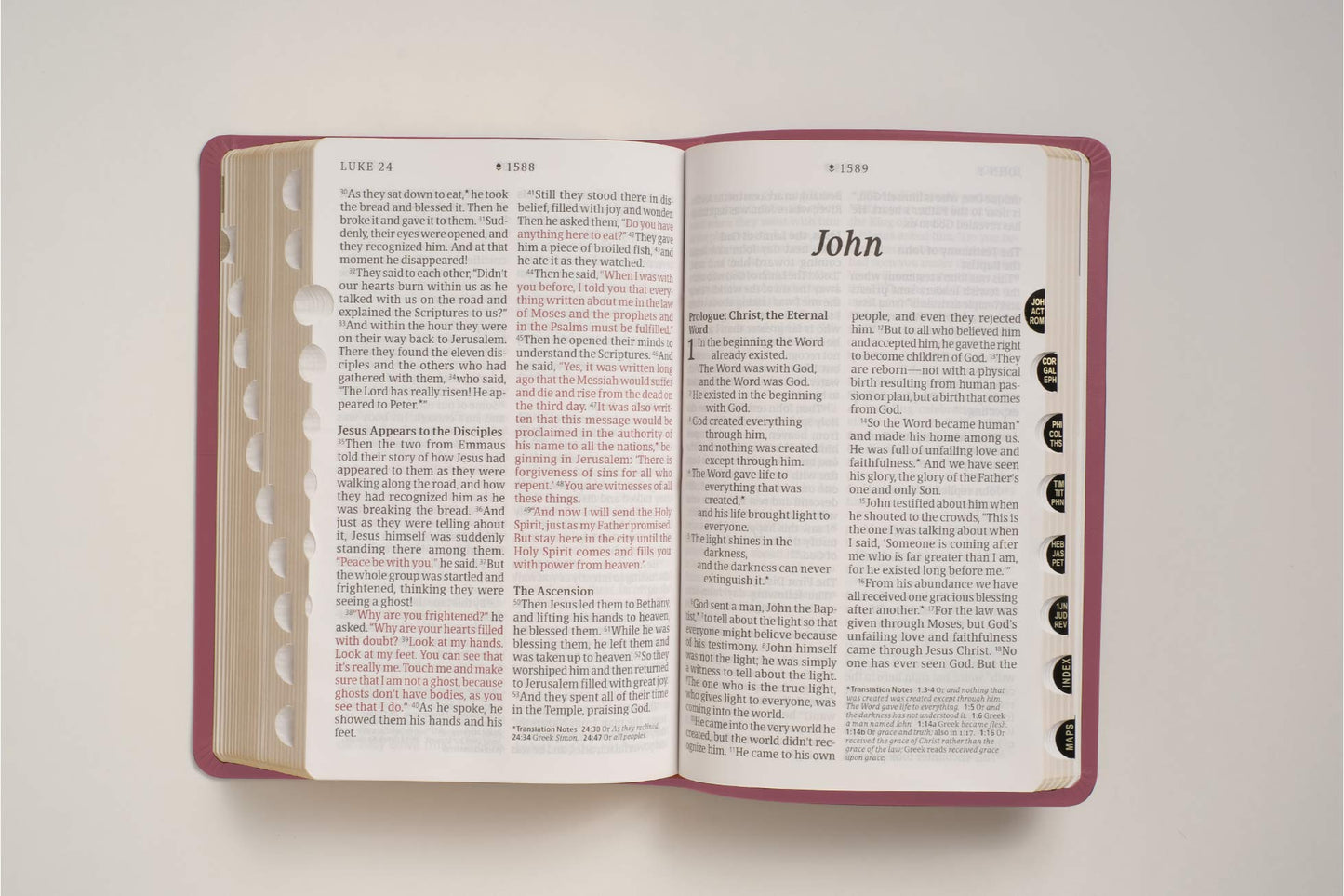 NLT Personal Size Giant Print Holy Bible (Red Letter, LeatherLike, Peony Pink, Indexed)