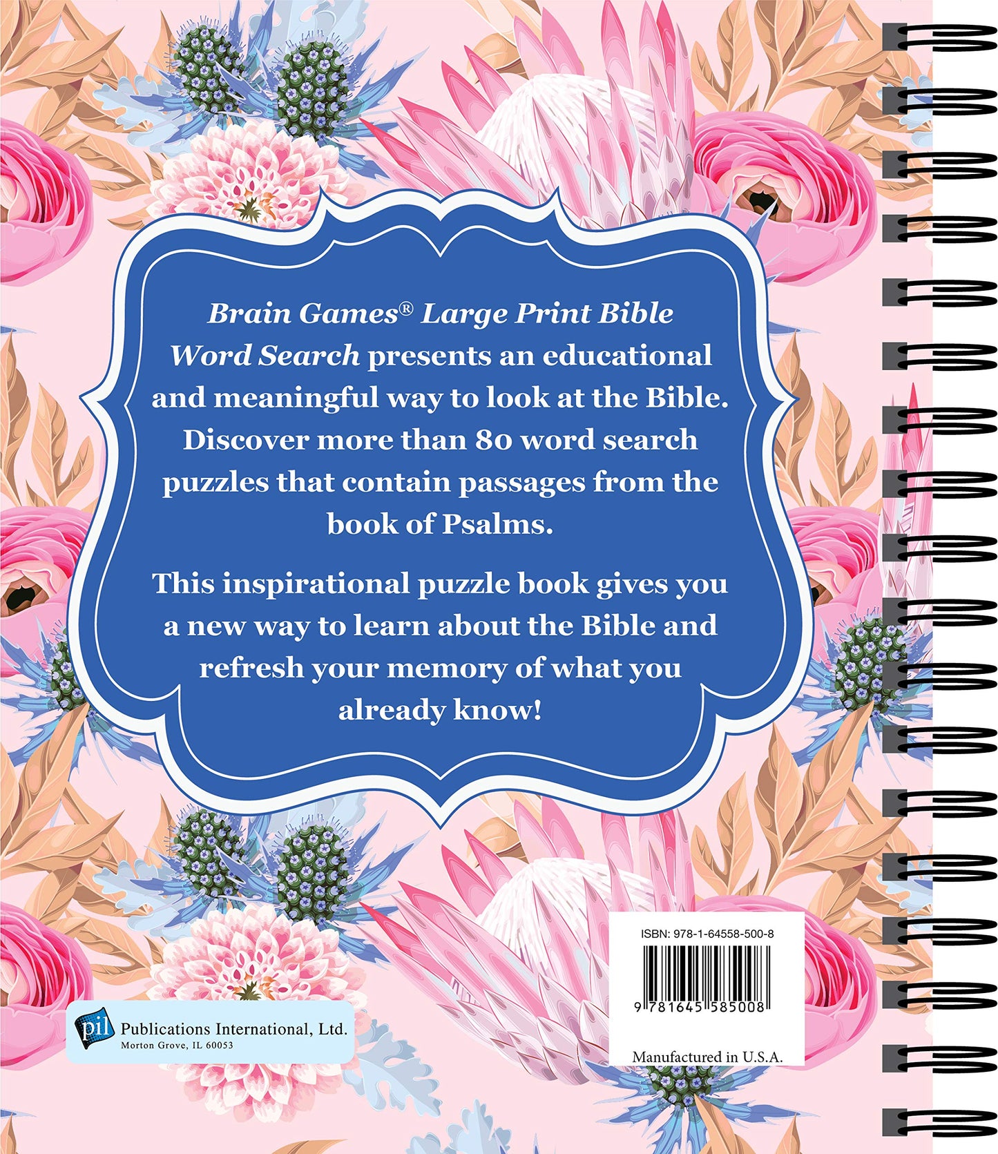 Brain Games - Large Print Bible Word Search: Psalms