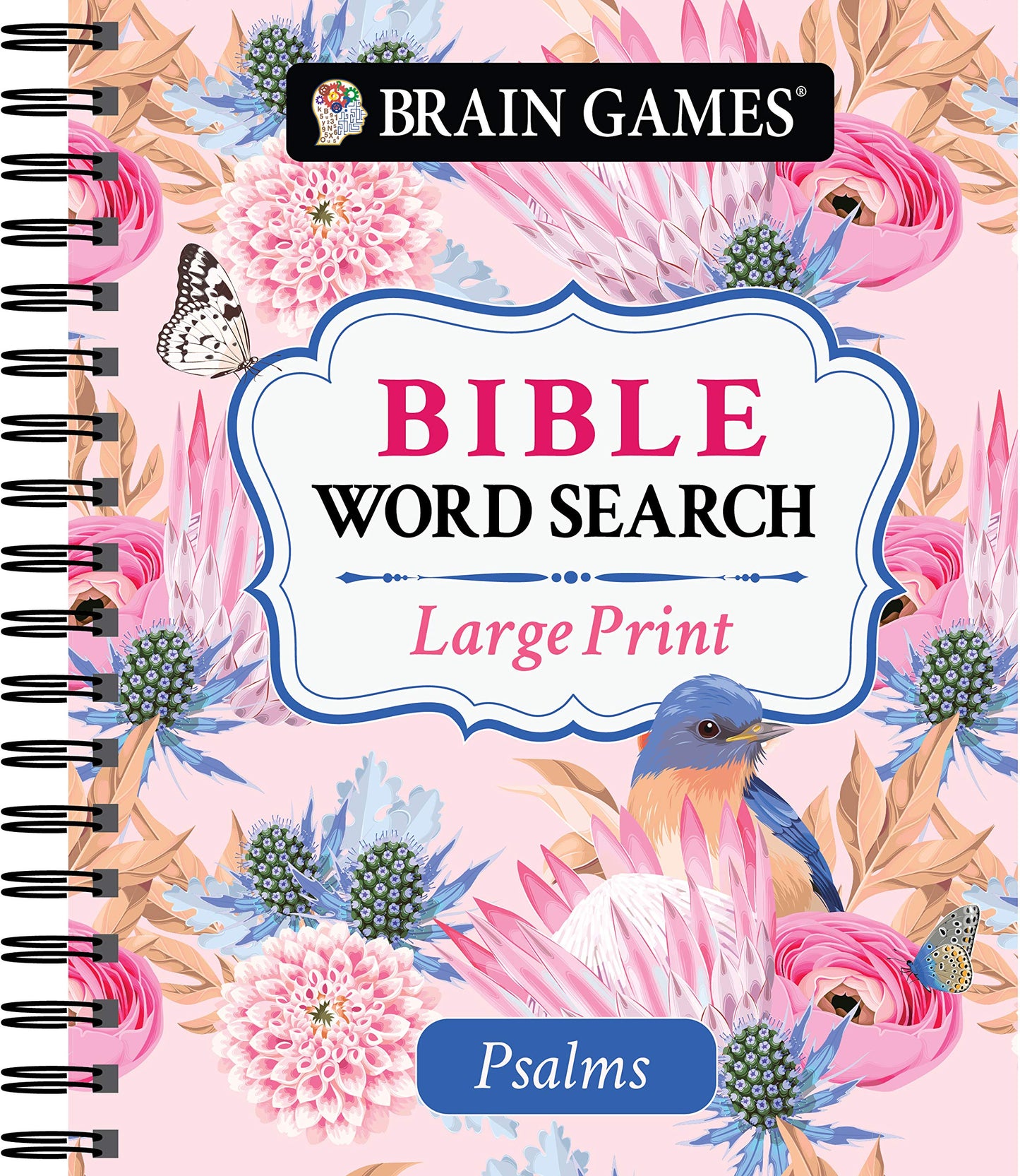 Brain Games - Large Print Bible Word Search: Psalms