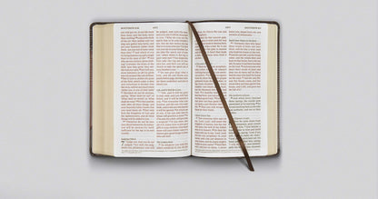 ESV Biblia tamaño personal letra grande caoba