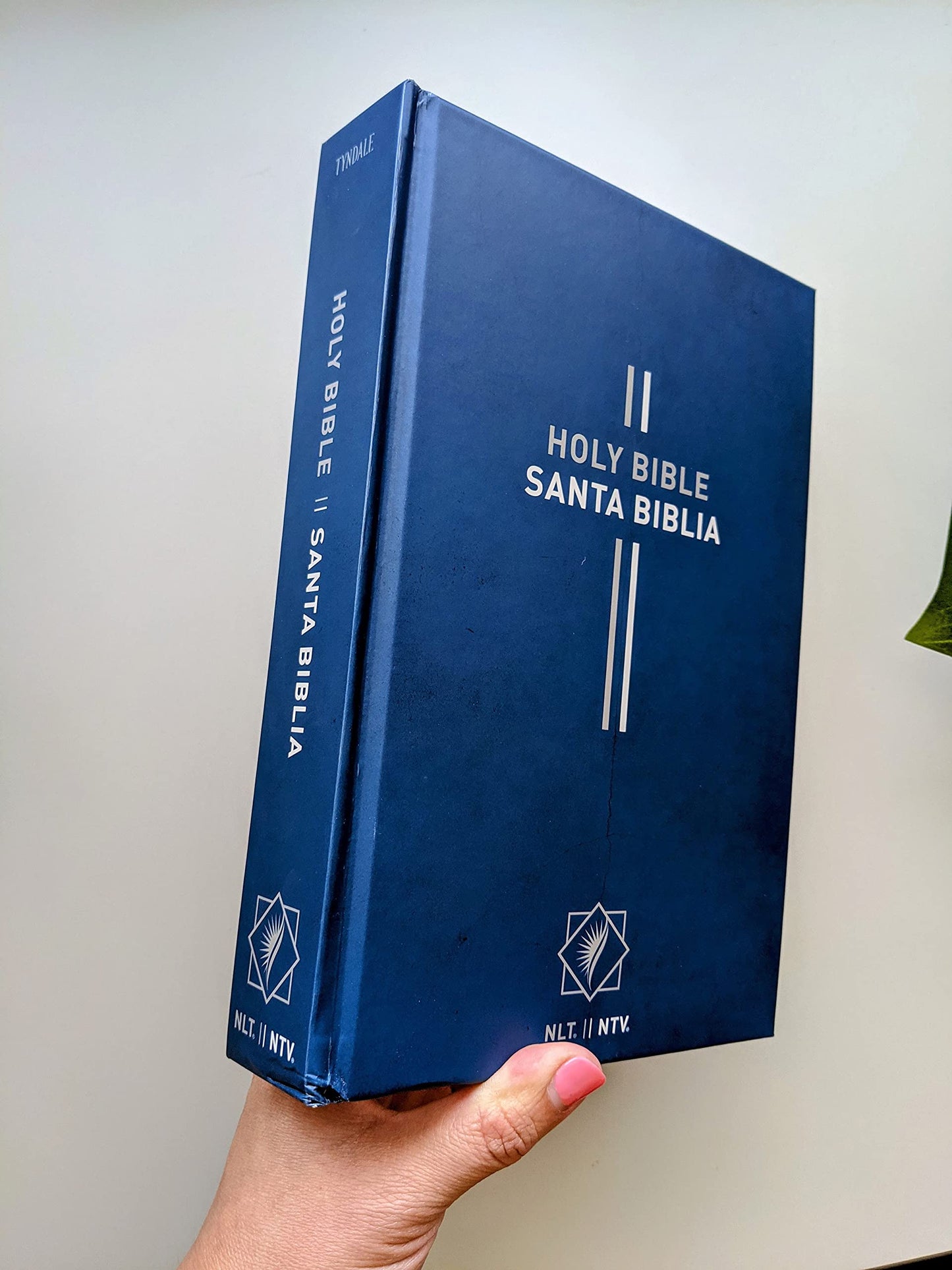 Bilingual Bible / Biblia bilingüe NLT/NTV (Spanish Edition)