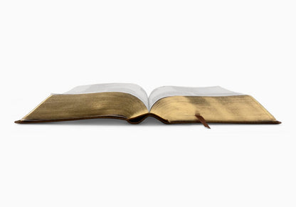 ESV Study Bible, Personal Size TruTone®, Brown