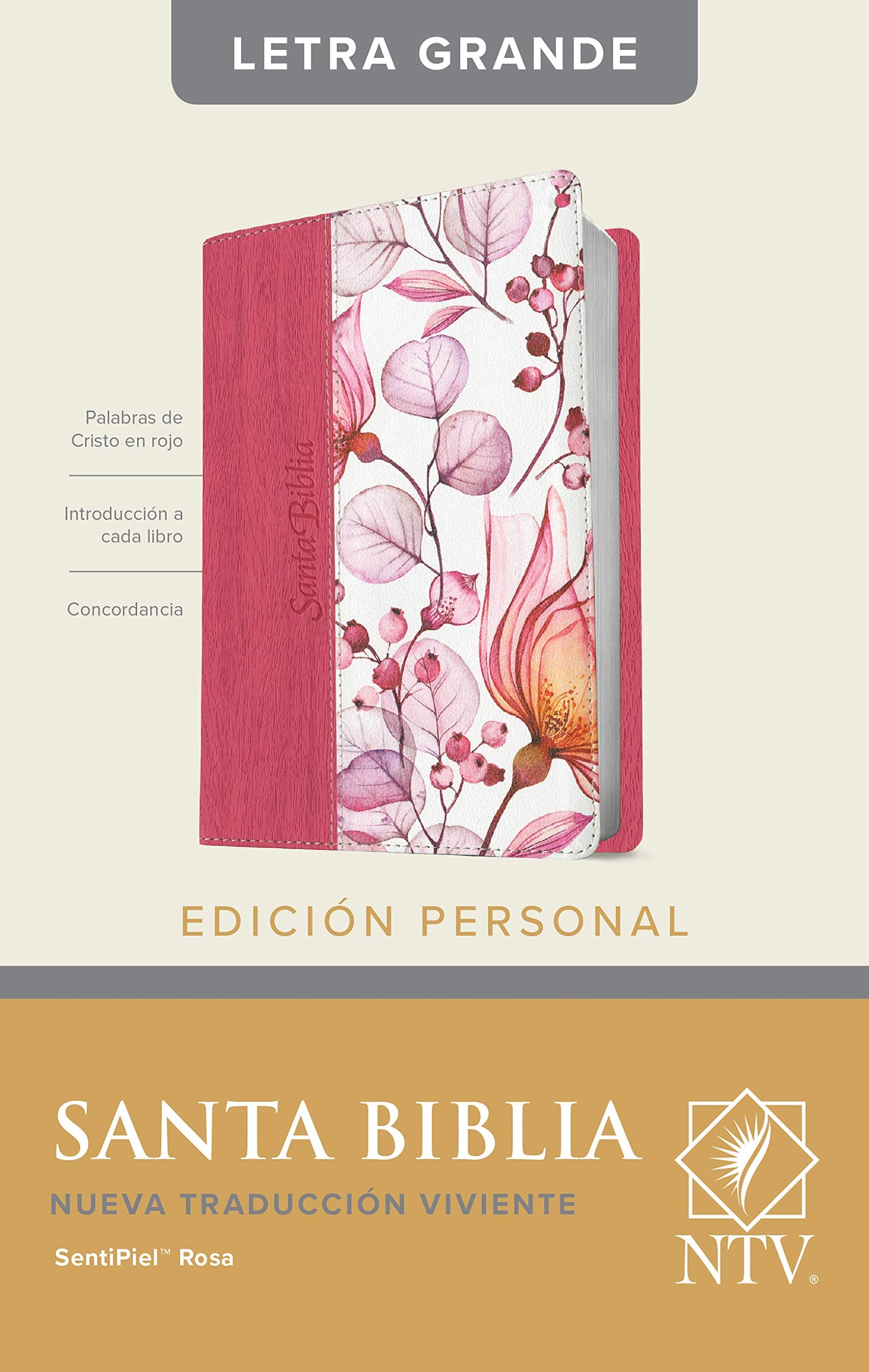 Santa Biblia NTV, Edición personal, letra grande (Spanish Edition)