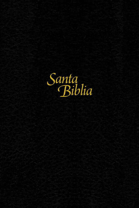 Santa Biblia NTV, Edición personal, letra grande (Spanish Edition)